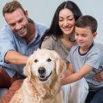 Pet parenting : enqu�te sur l'actualit� d'une r�volution soci�tale