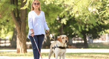 éducateur chien guide d'aveugles
