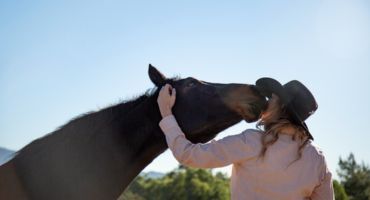 éleveur de chevaux
