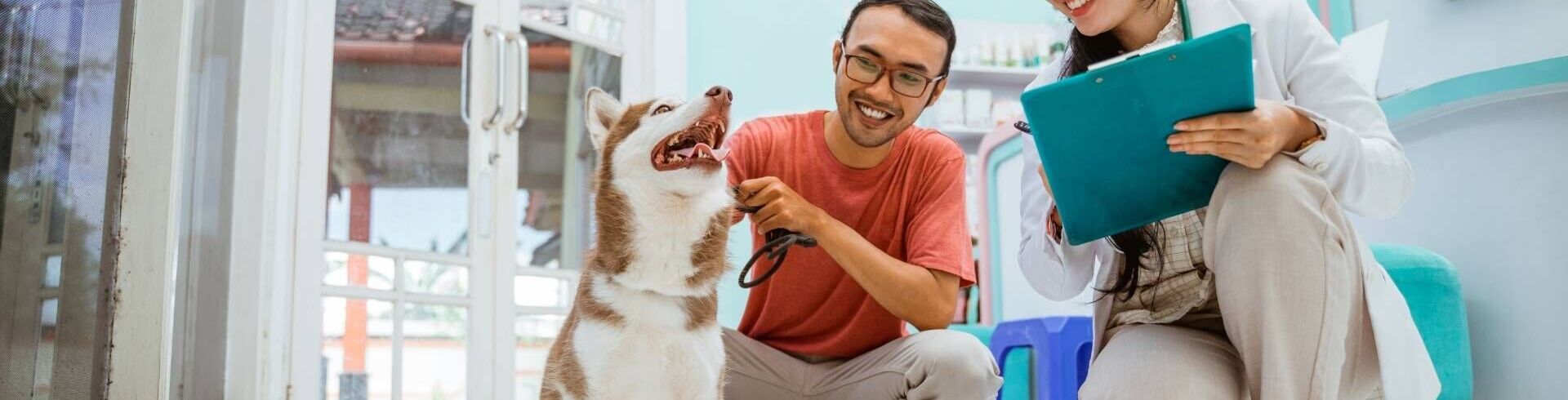 auxiliaire veterinaire specialise gipsa