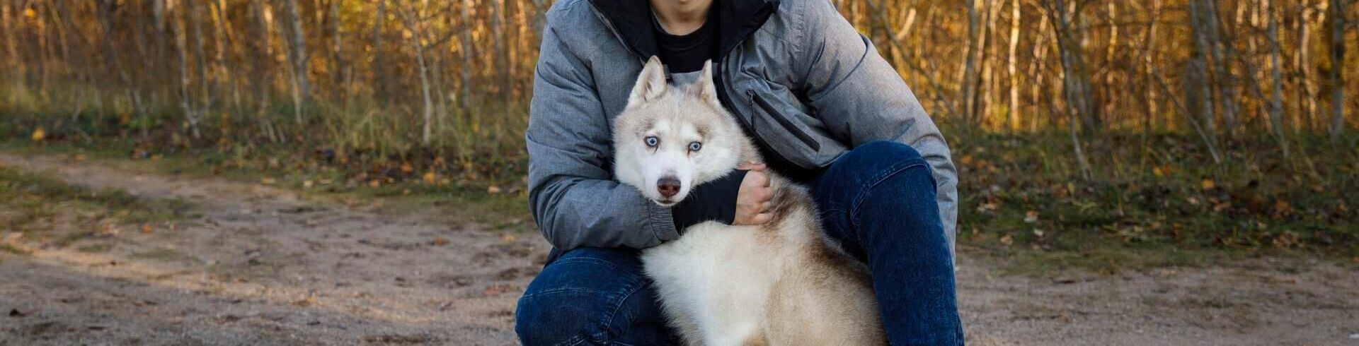 Bac Pro CGESCF : se former aux m&eacute;tiers du secteur canin et f&eacute;lin