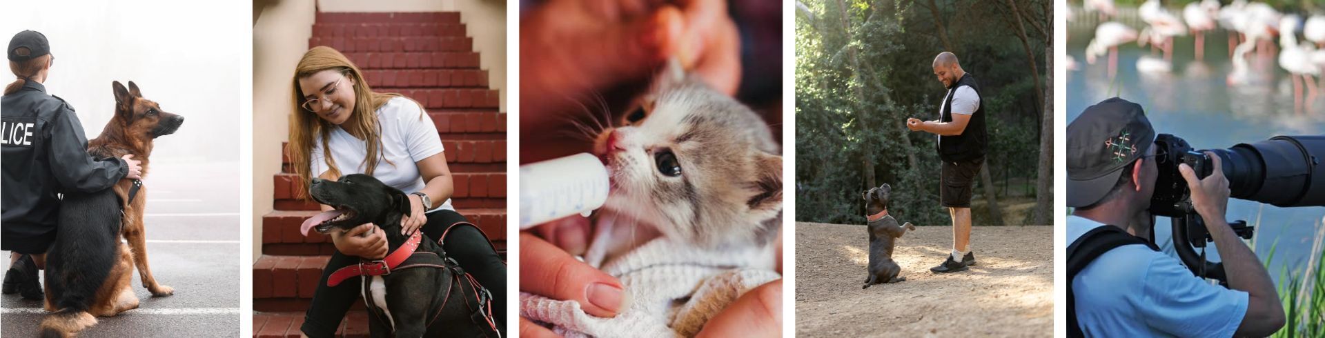 Éducation animalière et élevage : devenir éducateur ou éleveur