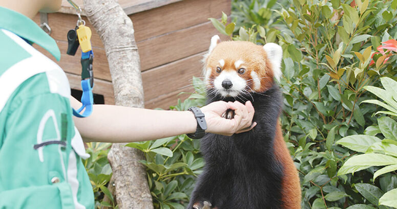 métier au contact des animaux métier au contact des animaux