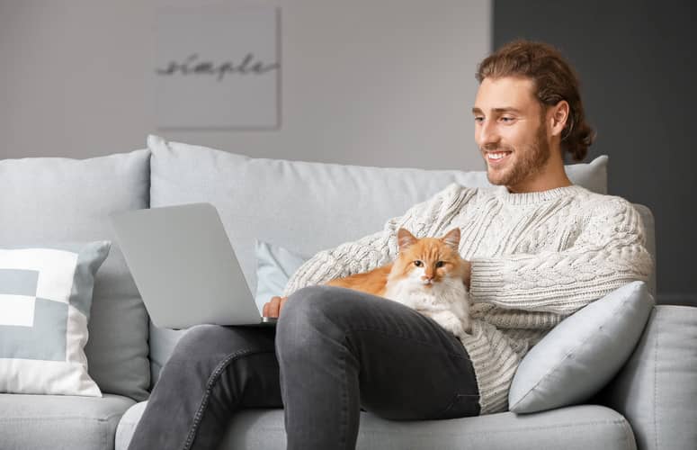 devenir eleveur de chat devenir eleveur de chat