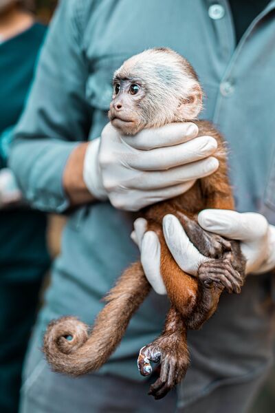 salaire soigneur animalier zoo