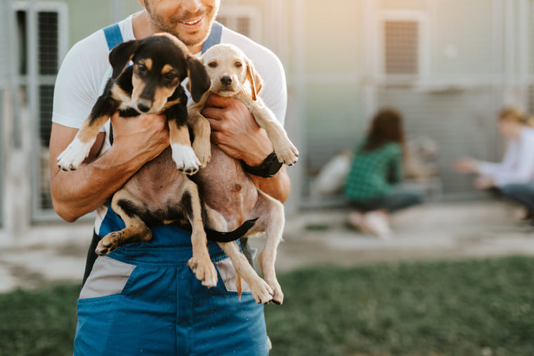 Homme qui porte deux chiots dans un refuge