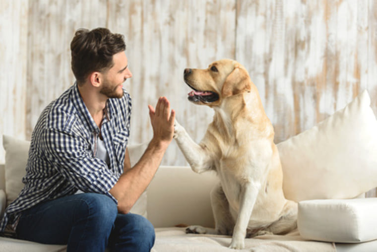 photographie d'un homme qui joue avec un chien