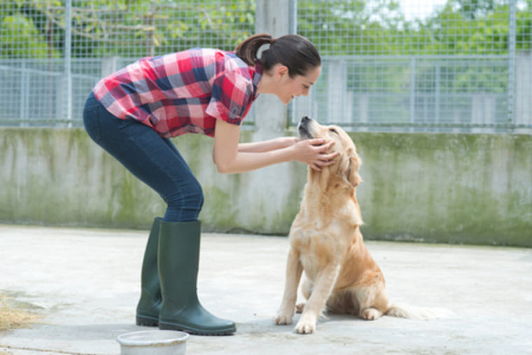 Photographie d'une femme qui joue avec un chien