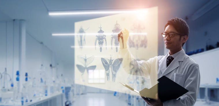 Homme qui étudie les insectes dans un laboratoire