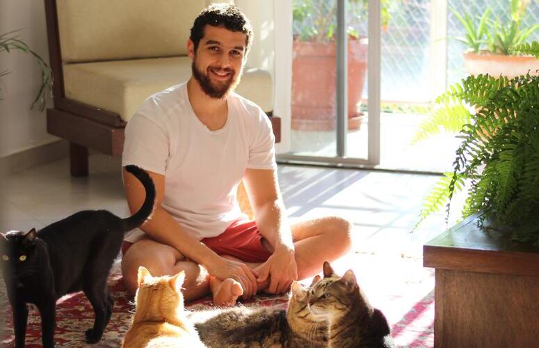 comment devenir eleveur de chat comment devenir eleveur de chat