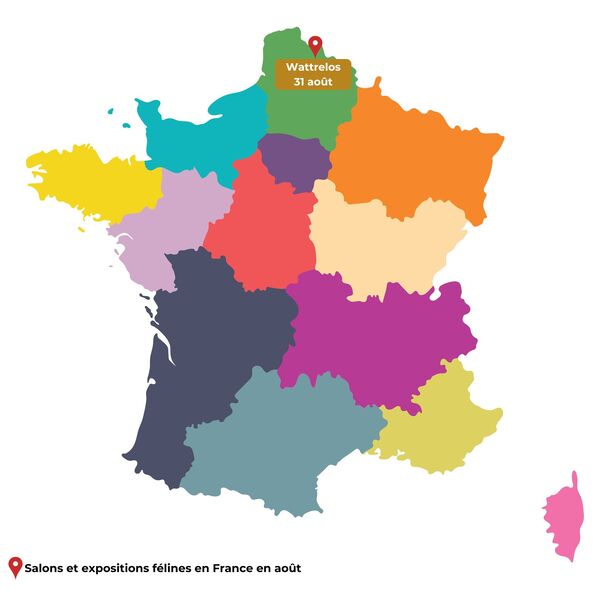 salons du chat 2025