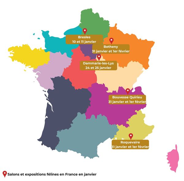 salons du chat 2026