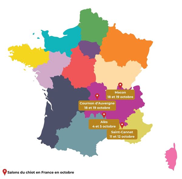 salons du chiot 2025