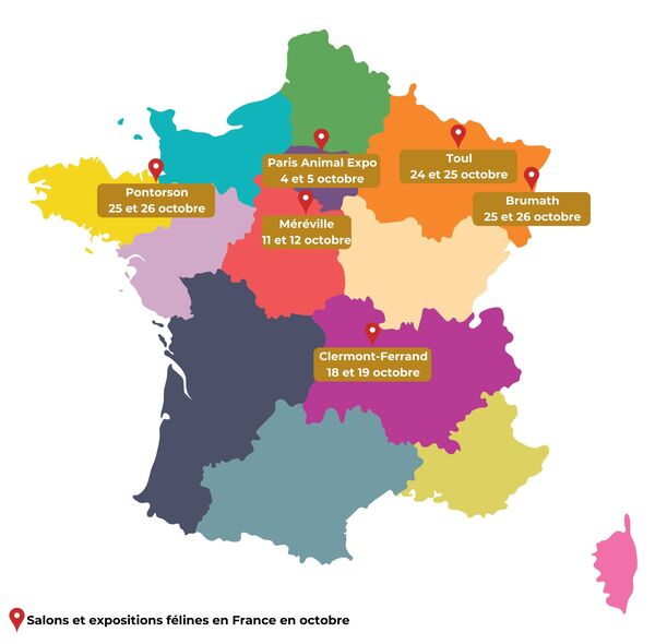 salons du chat 2025