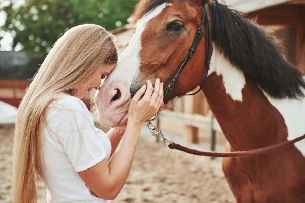 psychologie animale