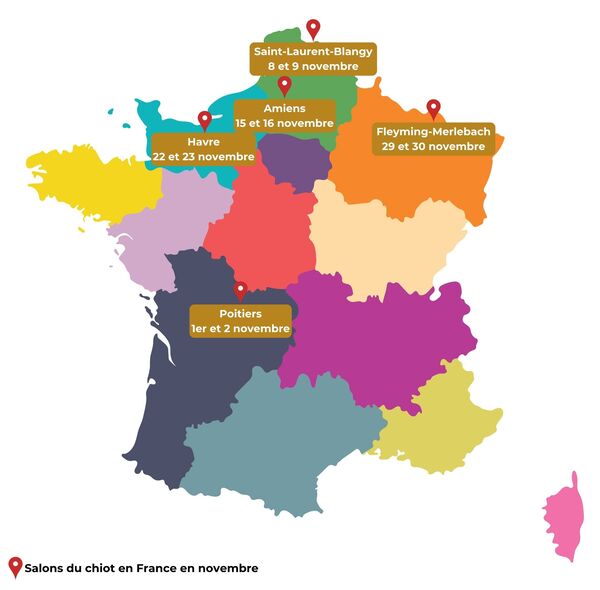 salons du chiot 2025