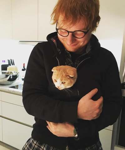 ed sheeran