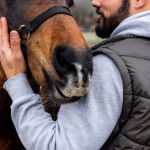 médiateur animalier