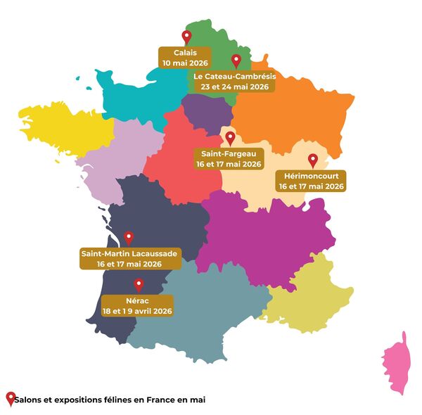 salons du chat 2026