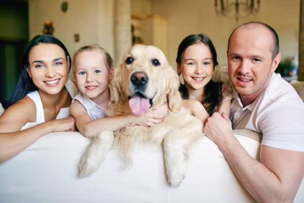 pet parenting
