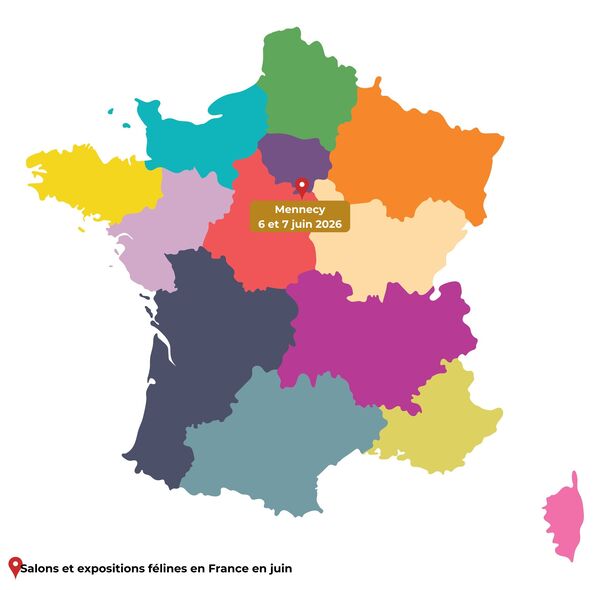 salons du chat 2026