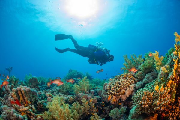 plongeur scientifique