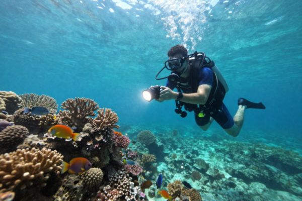 photographe sous-marin