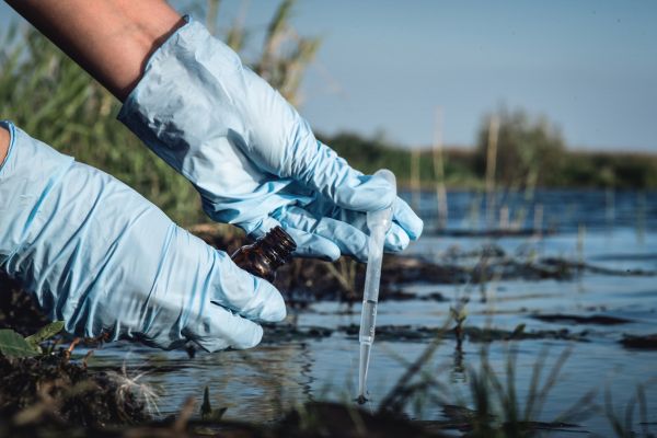Charg� de conservation des esp�ces