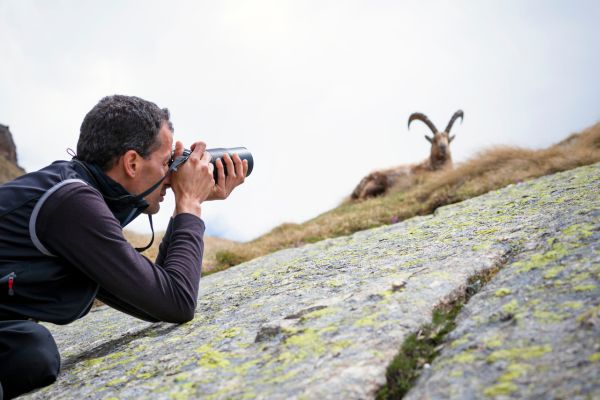 Photographe animalier ou documentariste