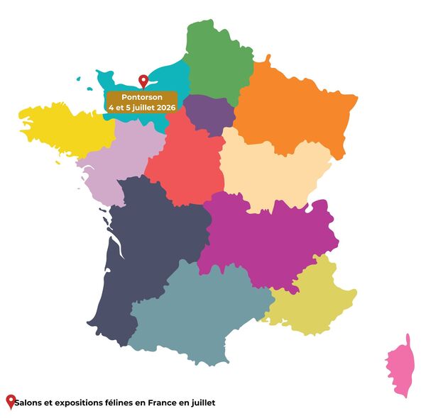 salons du chat 2026