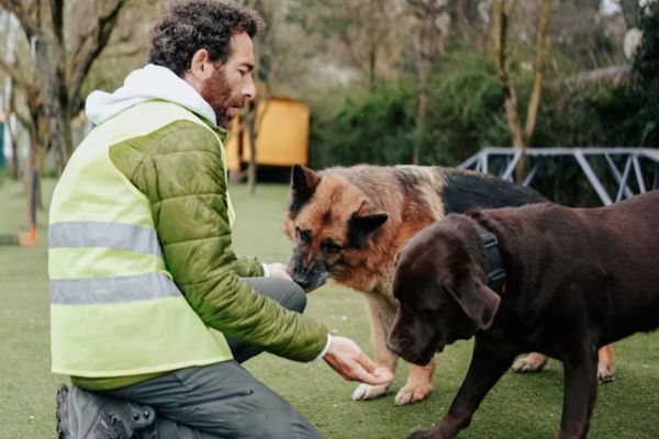 Responsable de pension animali�re