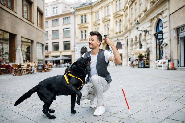 �ducateur de chiens guides et d'assistance