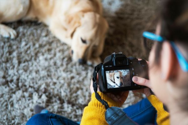 Photographe animalier