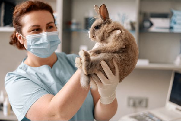 Technicien en reproduction animale