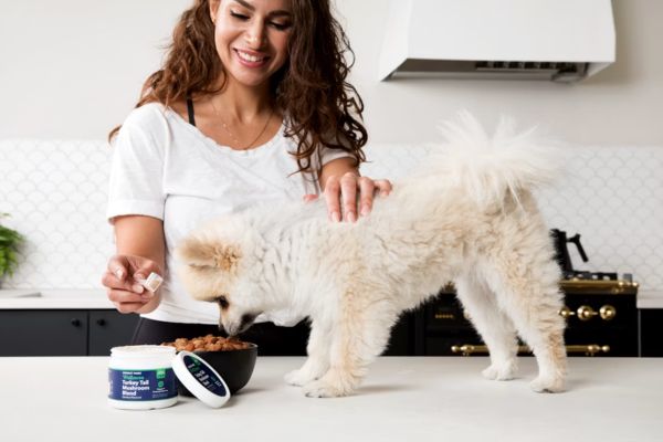 Nutritionniste animalier