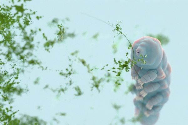 tardigrade