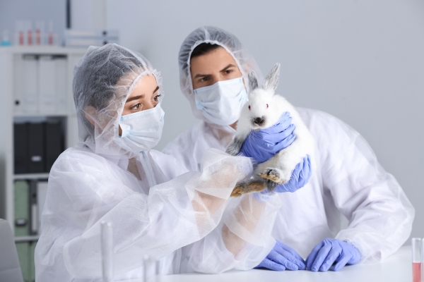 animalier en laboratoire