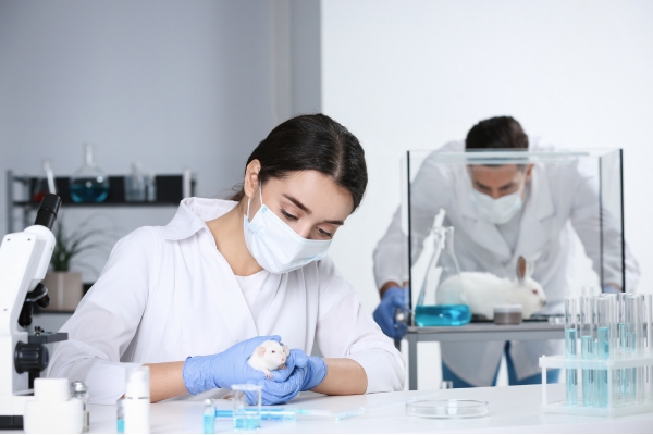 animalier laboratoire