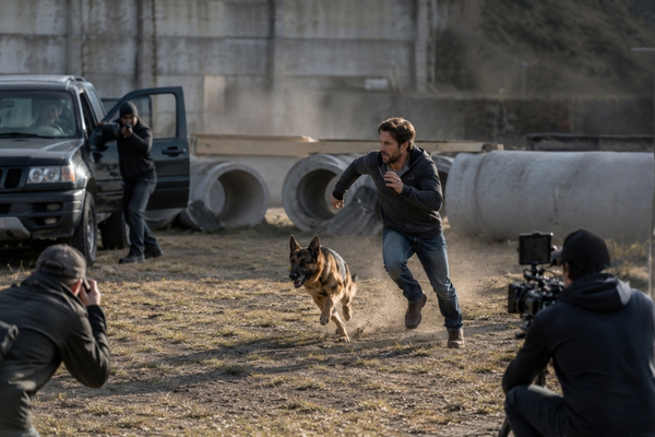 chiens cin�ma