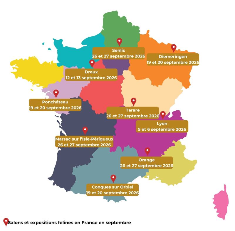 salons du chat 2026