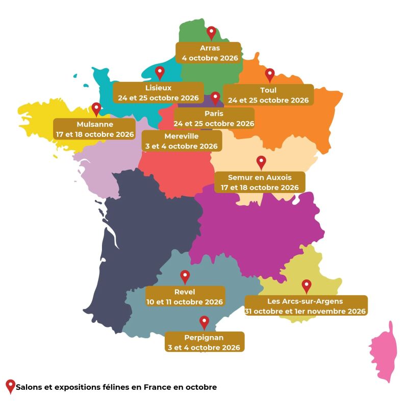 salons du chat 2026